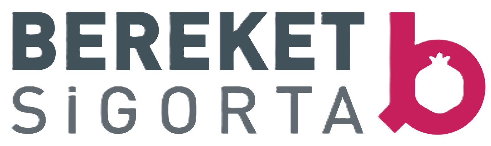 Sigorta Şirketi